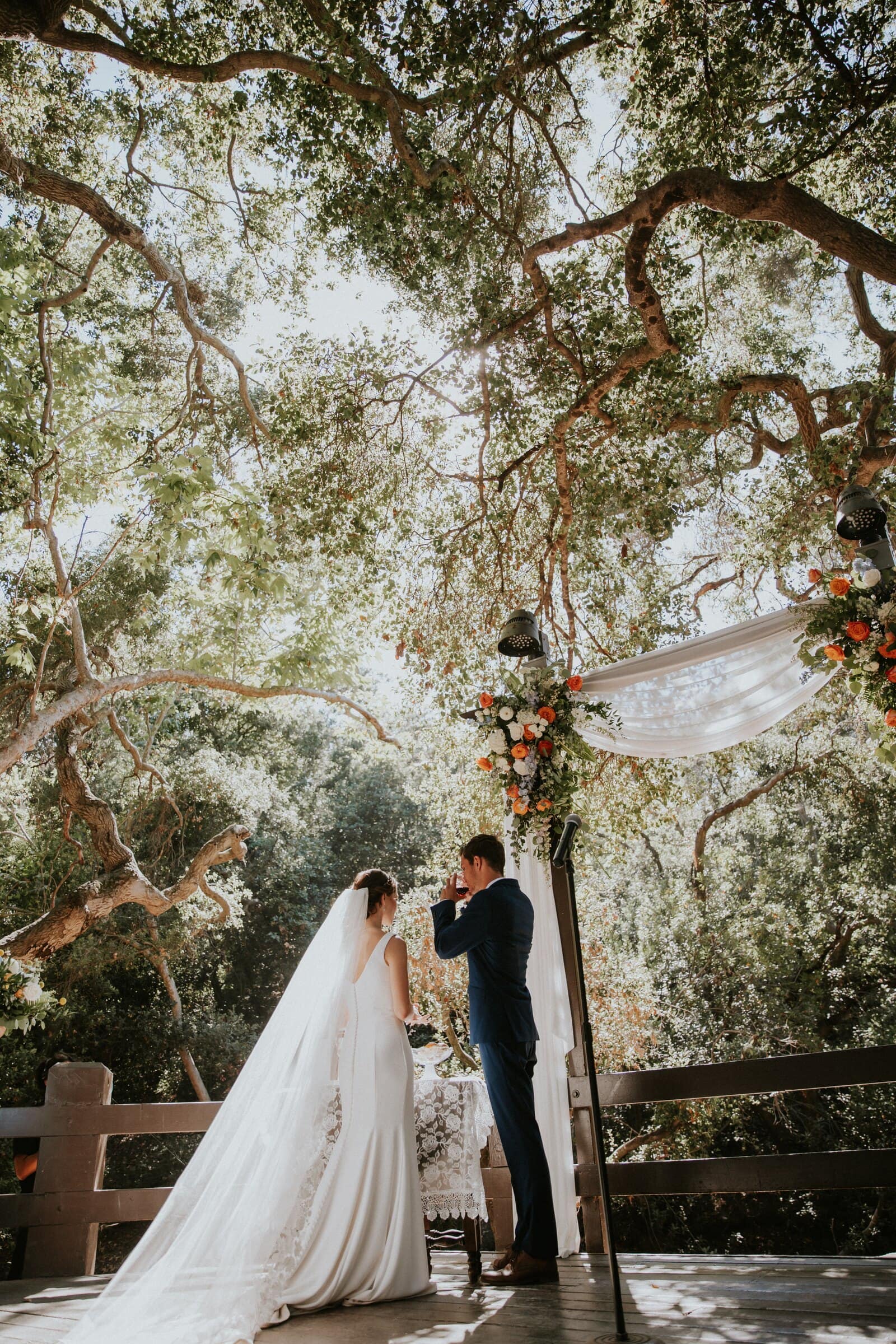 Claire and Bryce holding hands at the arch, framed by oak branches