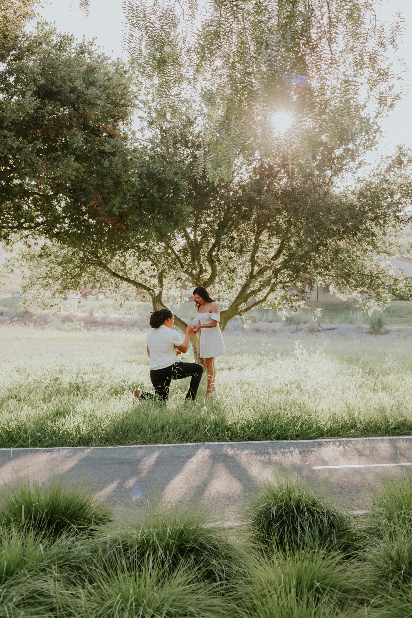 Jeremy on one knee beneath the oak tree, putting the ring on Ambica's finger